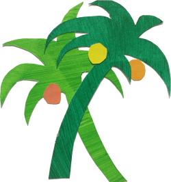 Palmen mit Kokosnüssen